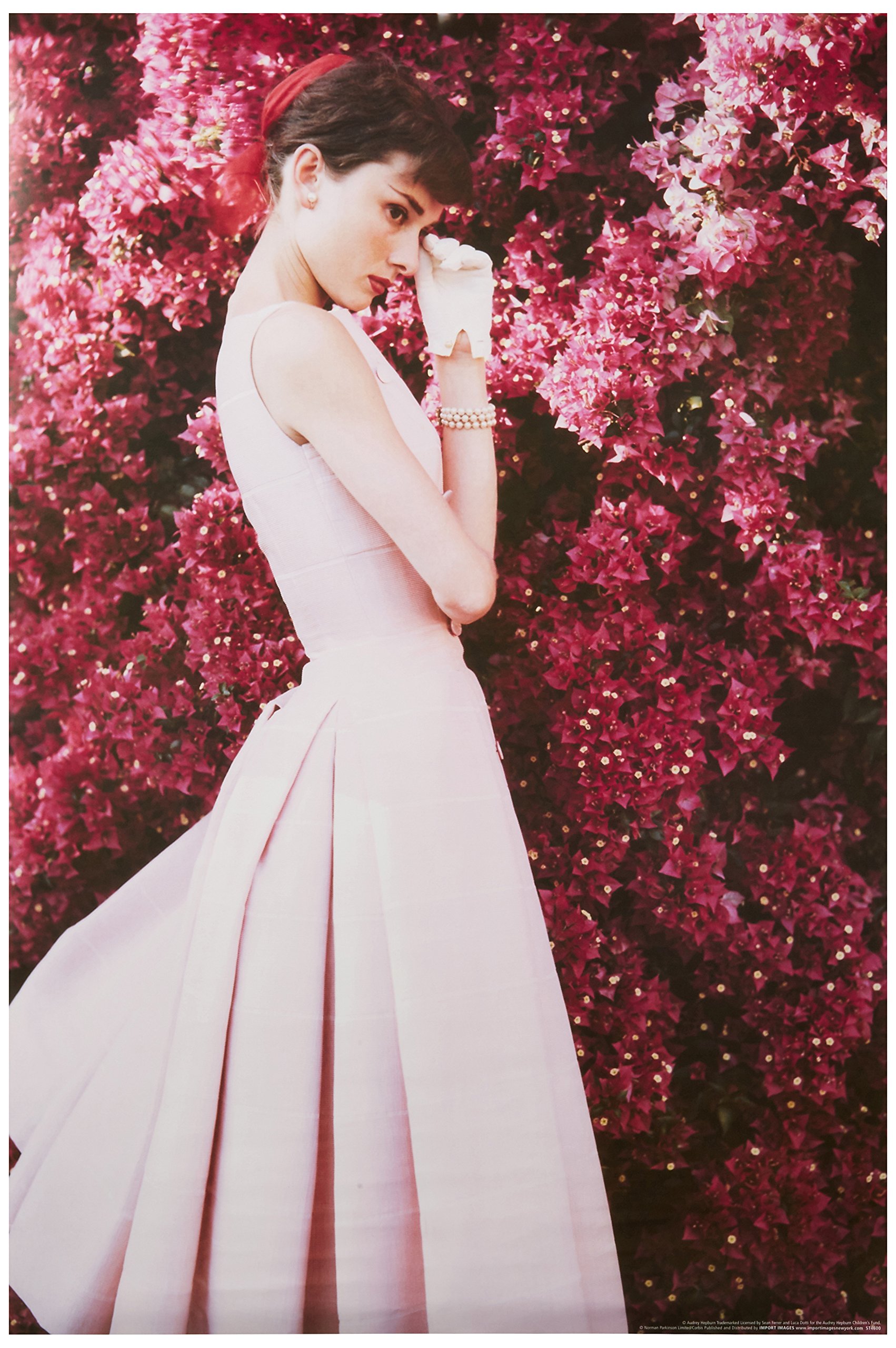 Evening Dress⁄ノーマン パーキンソン⁄額装済 Evening Dress/ノーマン