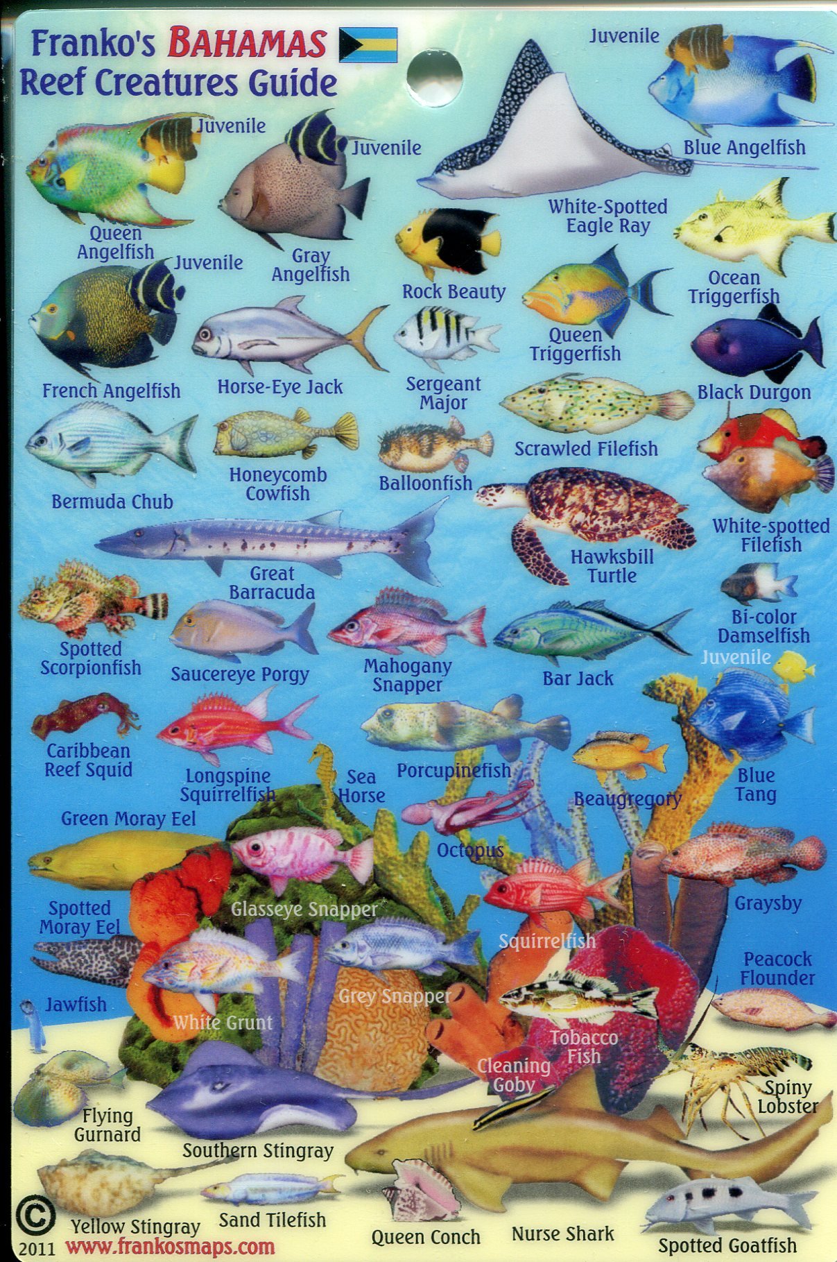 Waterproof Charts 89F Horseshoe