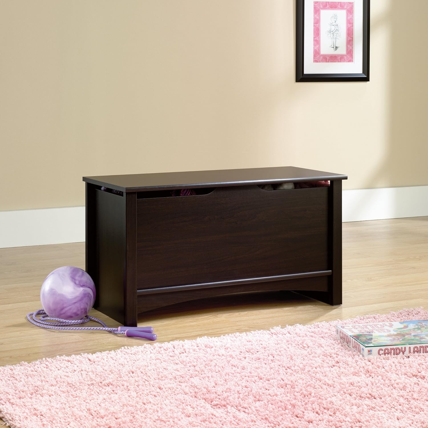 Sauder Shoal Creek Storage Chest, Jamocha Wood finish : Home & Kitchen