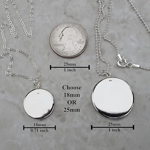 Miniatura 2 de Collar de plata esterlina 925 con calavera de dinosaurio Carnotaurus