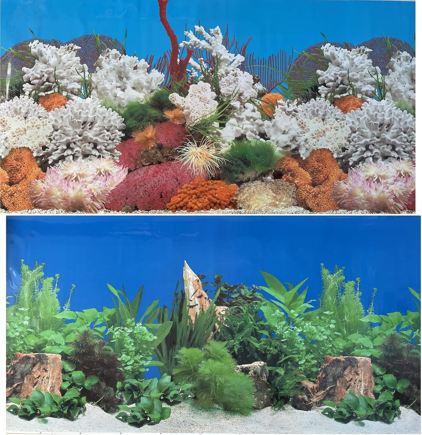 N4L Aquarium Background White Coral Sandy 22.75 Double Sided Decoration for Fish Tank (48L x 22.75H)