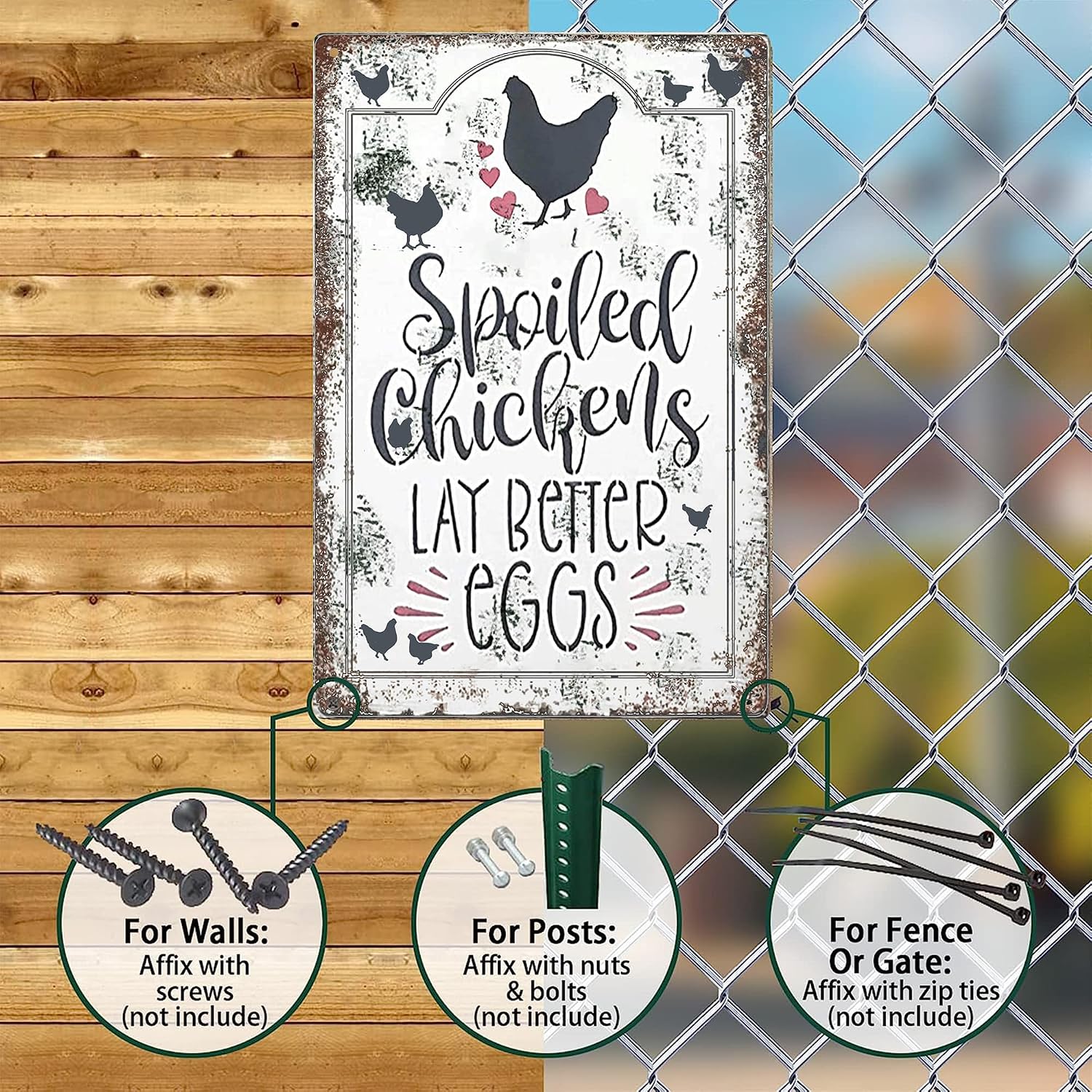 Chicken Coop Signs Outdoor - Spoiled Chickens Lay Better Eggs Tin Sign image 4