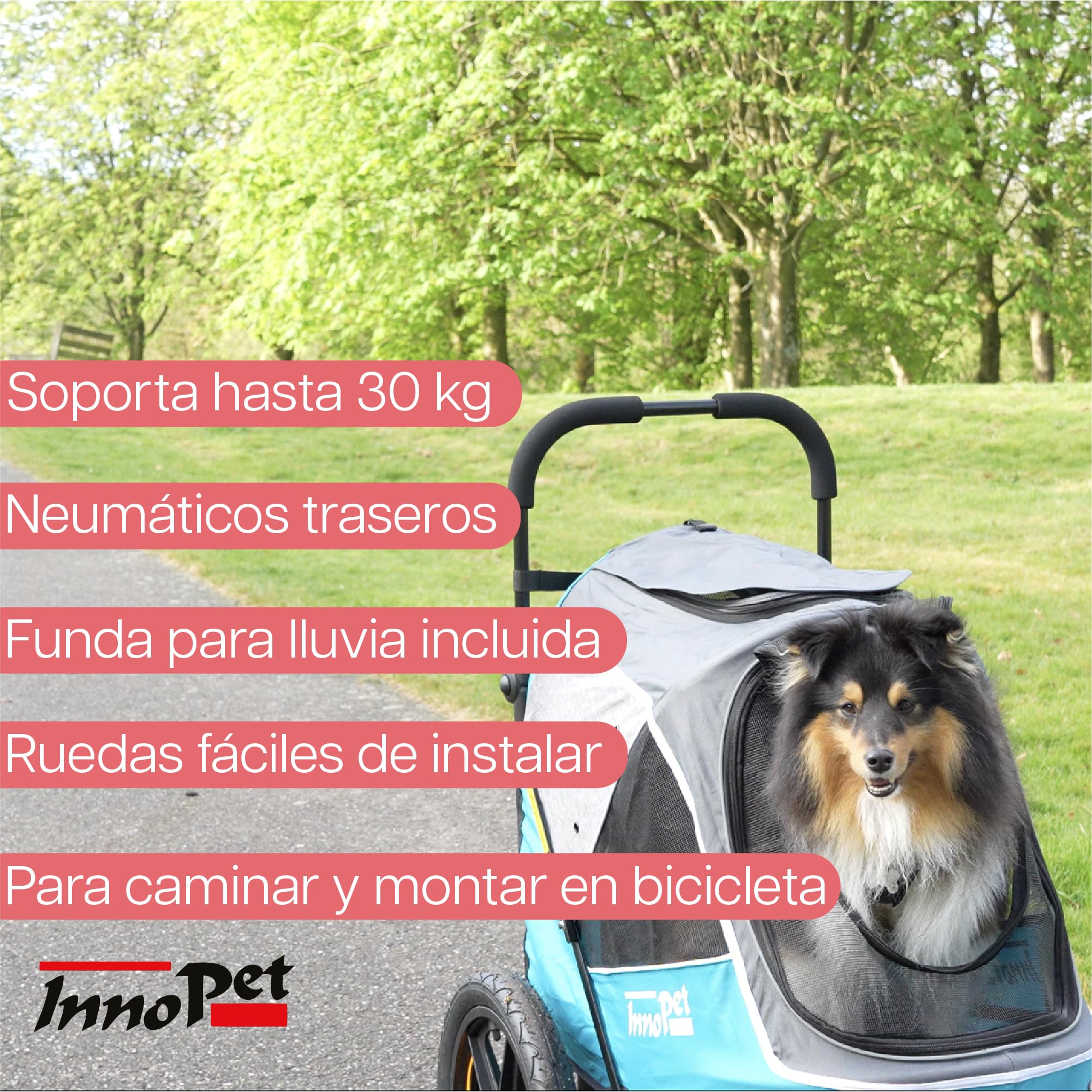 Innopet Sporty Evolution Parent