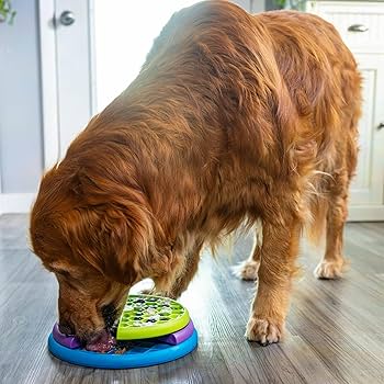 ●LOTONE & J-DOG Outward Hound by Nina Ottosson Lickin' Layers Small 3-in-1