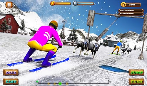 Sled Dog Racing 2020