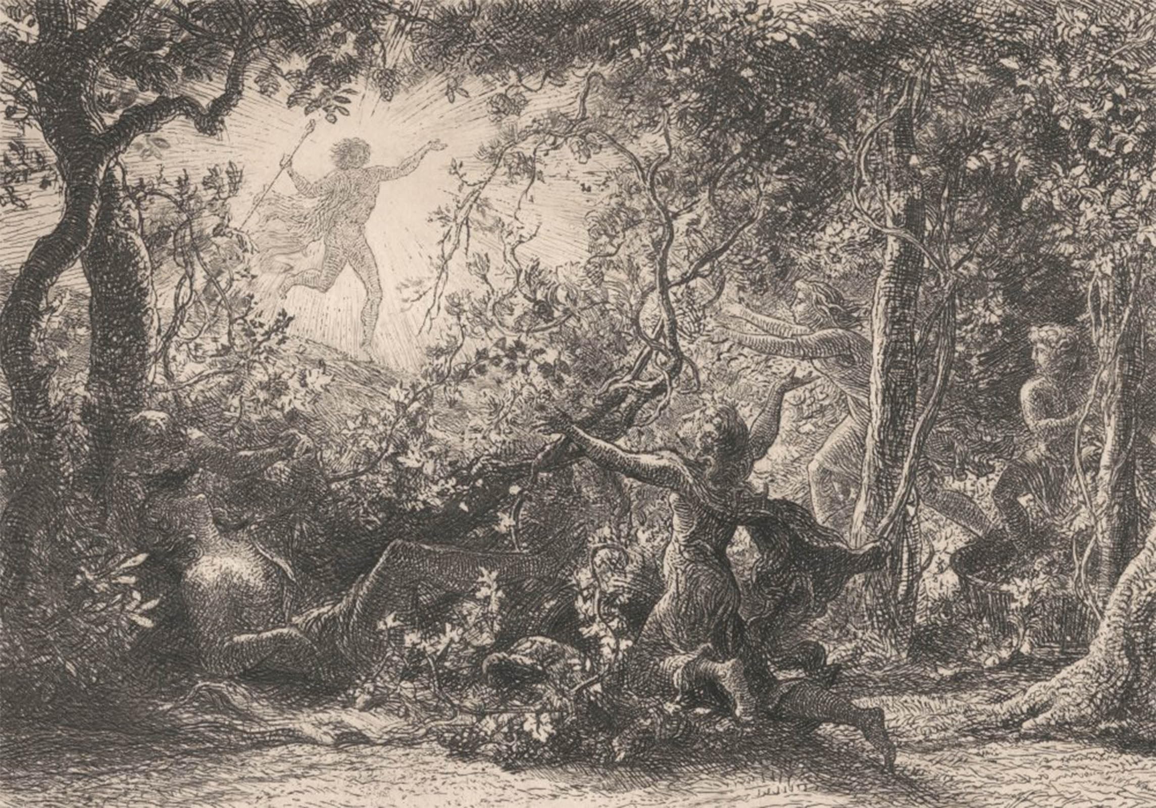 SERENDIPITP Vintage Picture Print on Canvas Wall Art Poster the Vine by Famous Painter Artwork Print Poster for Wall Decor 60x90cm
