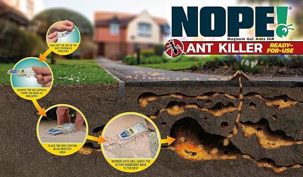 NOPE! Ant Killer Bait Station (6 x 5g) Indoor & Outdoor Ant Traps. Eradicates Ants and their Colony & Nest - 5