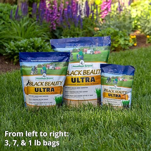 Miniatura 8 de Semillas de césped Jonathan Green Black Beauty