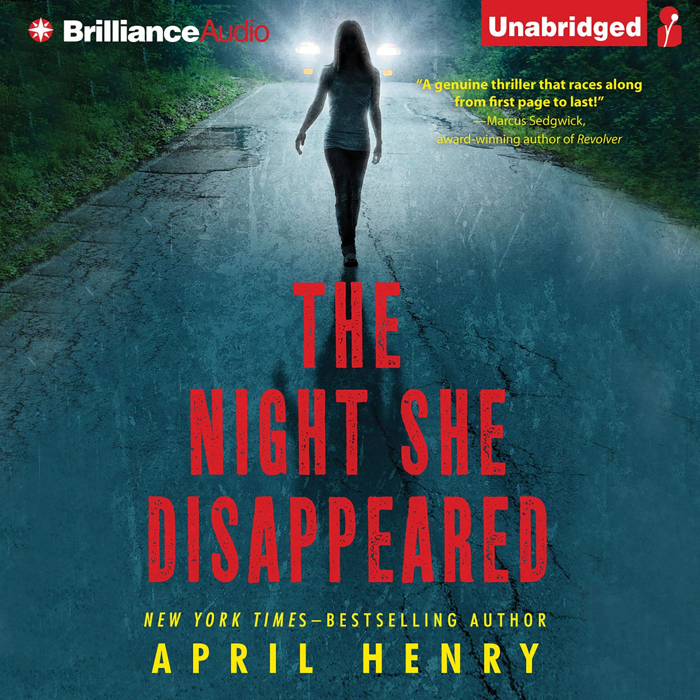 Cover art for The Night She Disappeared