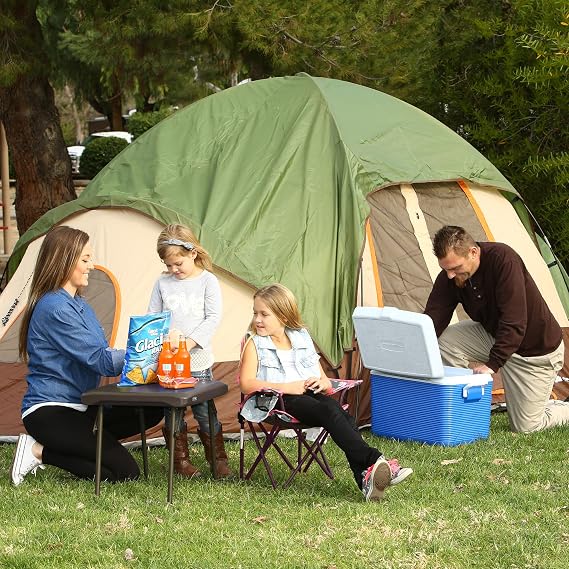 LIFETIME 280488 Compact Folding Low Side Table for Camping, Brown