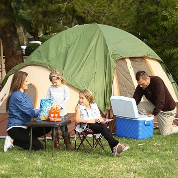 LIFETIME 280488 Compact Folding Low Side Table for Camping, Brown