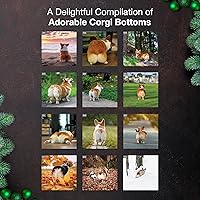 Vista 3 de MICASA PRESS Corgi Butts - Calendario de pared 2026 de 12 meses 12 x 24 pulgadas abierto Papel grueso y resistente Regalo de vacaciones