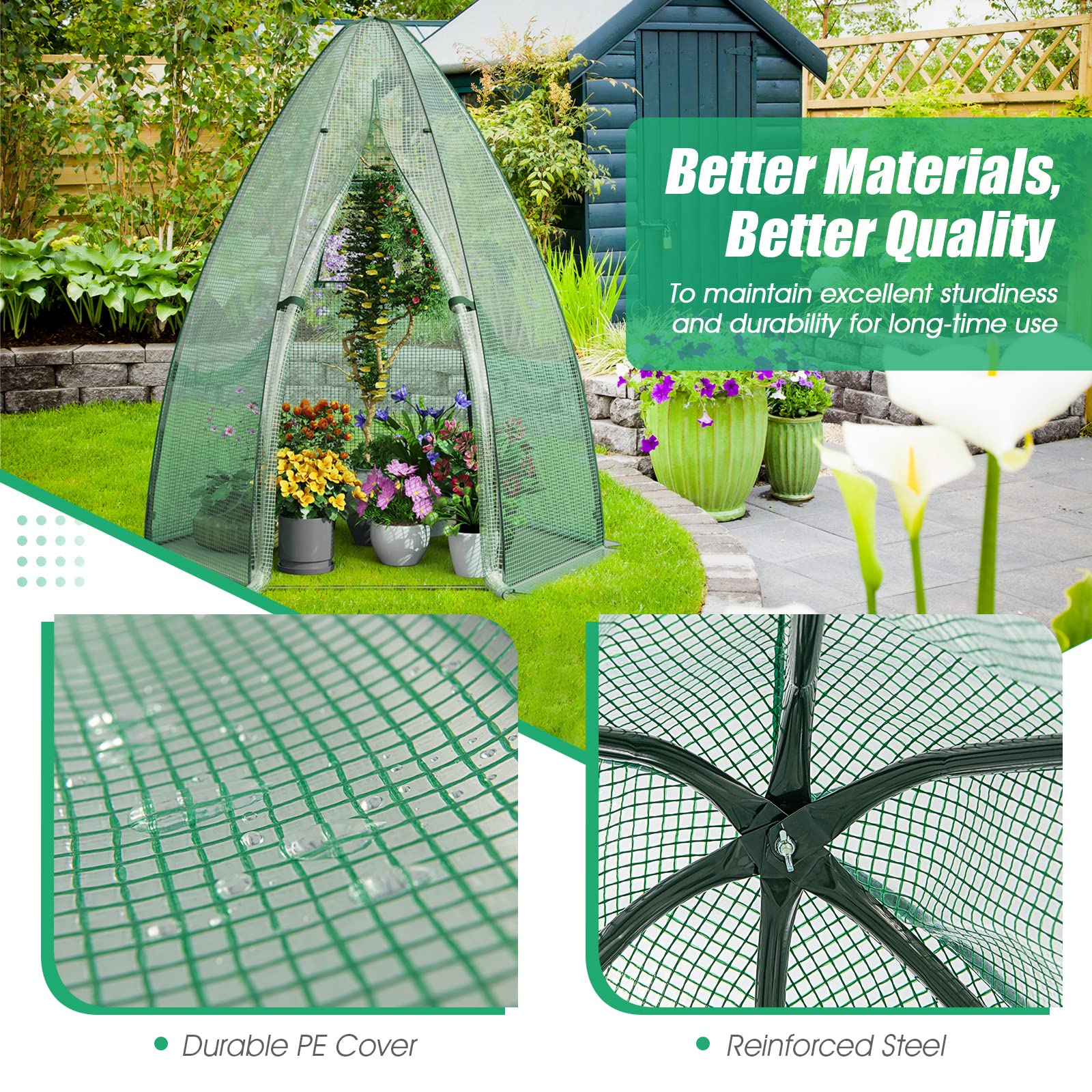 Amazon.com : Renatone Walk-in Greenhouse with Roll-Up Window