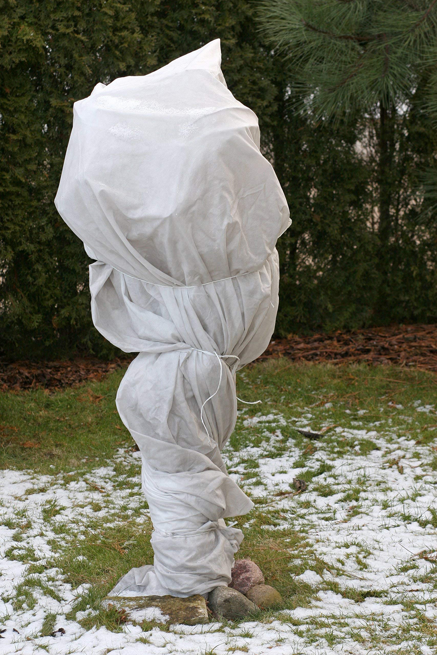 Aquagart Wintervlies 100m² Kälteschutz für Pﬂanzen I Thermovlies Garten I Winterschutzvlies reißfest I Frostschutzvlies Bäume I Pﬂanzenschutzvlies Winter I Abdeckvlies weiss 150g 2m breit
