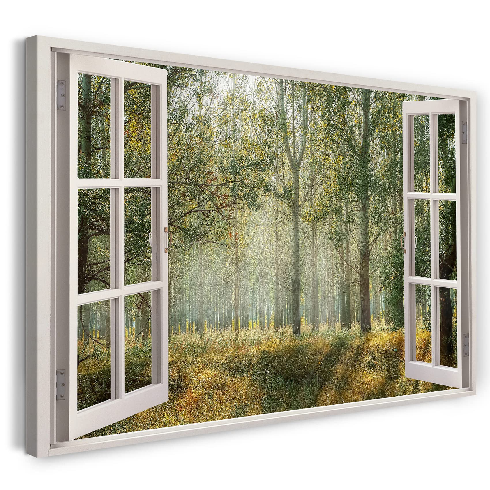 Print on Canvas (80x60 cm) view from the window - moss plants sun - nature photography, real wood frame with hook