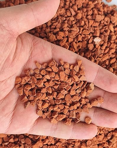 Aditivo de suelo de arcilla calcinada para horticultura Bonsái Cactus para plantas suculentas (suelo más grande, 10 libras)