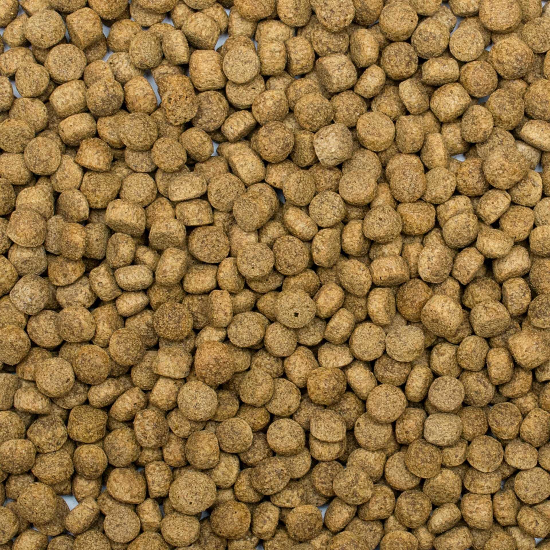 Koi Silkworm&ASTAXANTHIN Pellet Size L 7kg - Nourriture pour Poissons de bassins, Gros granulés