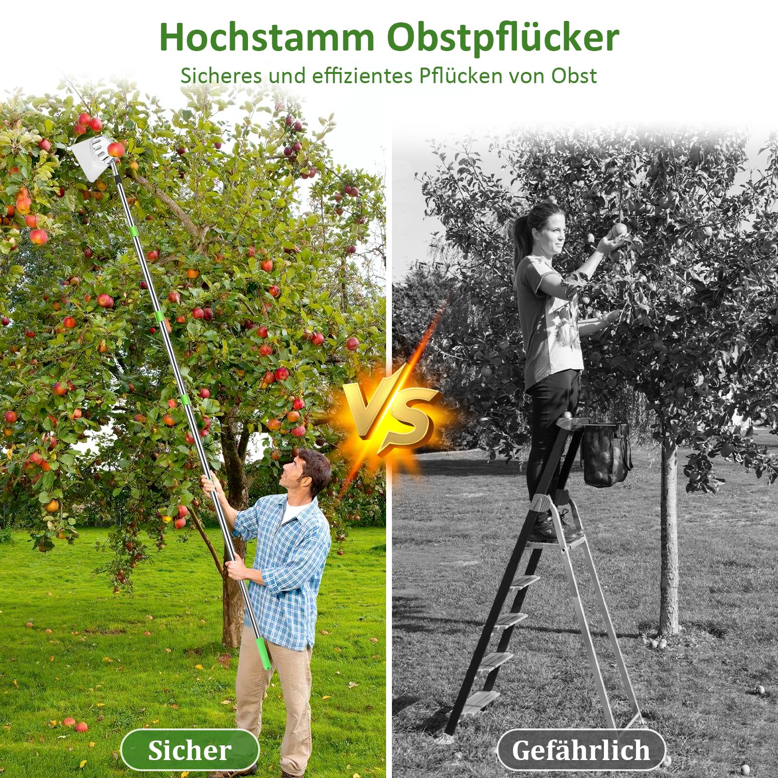 PRZRAO 4m Recogedor de Frutas con Telescópico, Recogedor de Frutas Diámetro 16 cm Recogedor de Manzanas con Pértiga Telescópica Ligera de Acero Inoxidable y Bolsa de Algodón para Manzanas Cítricos
