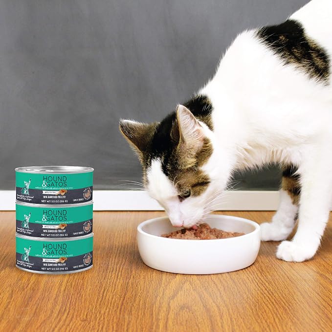 Hound & Gatos Alimento Húmedo para Gatos 24 Latas 5.5 oz miniatura 3