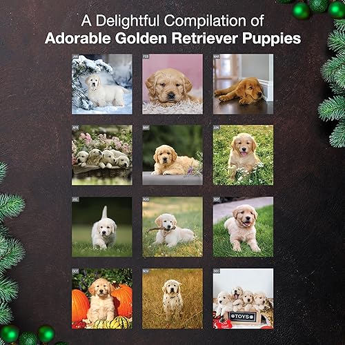 Miniatura 9 de MICASA Shih Tzu Puppies 2024 Calendario mensual colgante de pared  12 x 24 pulgadas abierto  Papel grueso y resistente  Regalo  Lindo perro  Amor de