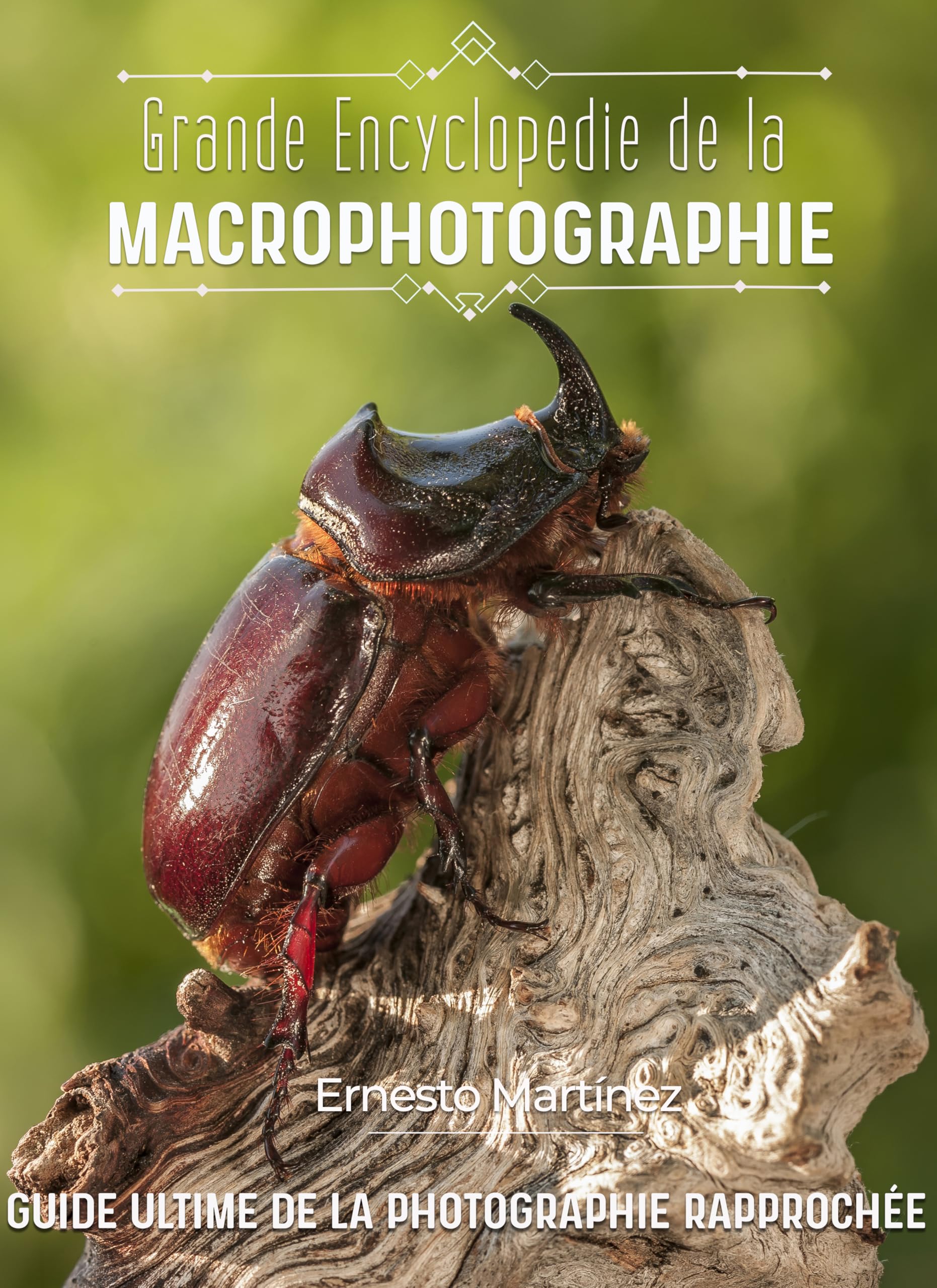 Macrophotographie guide ultime pour corriger le flou de bougé en photo rapprochée