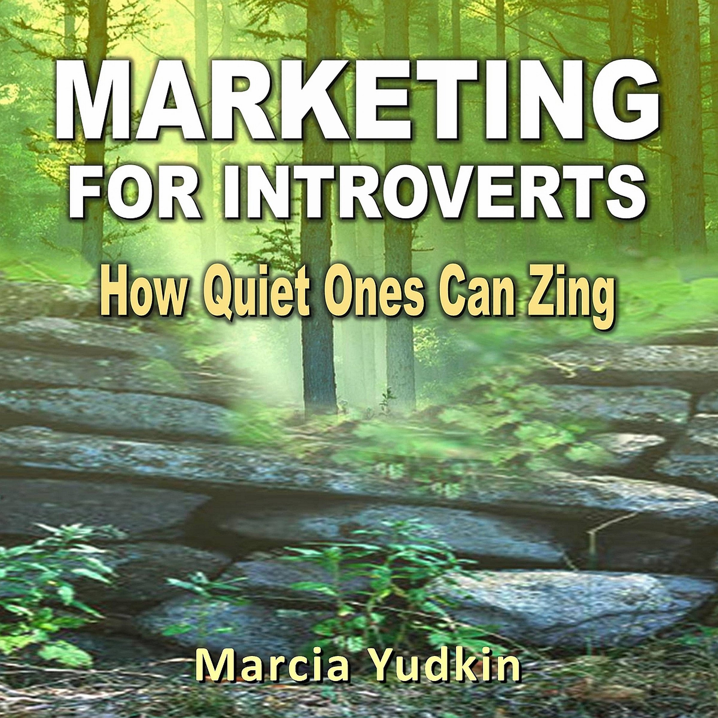 Cover art for Marketing for Introverts