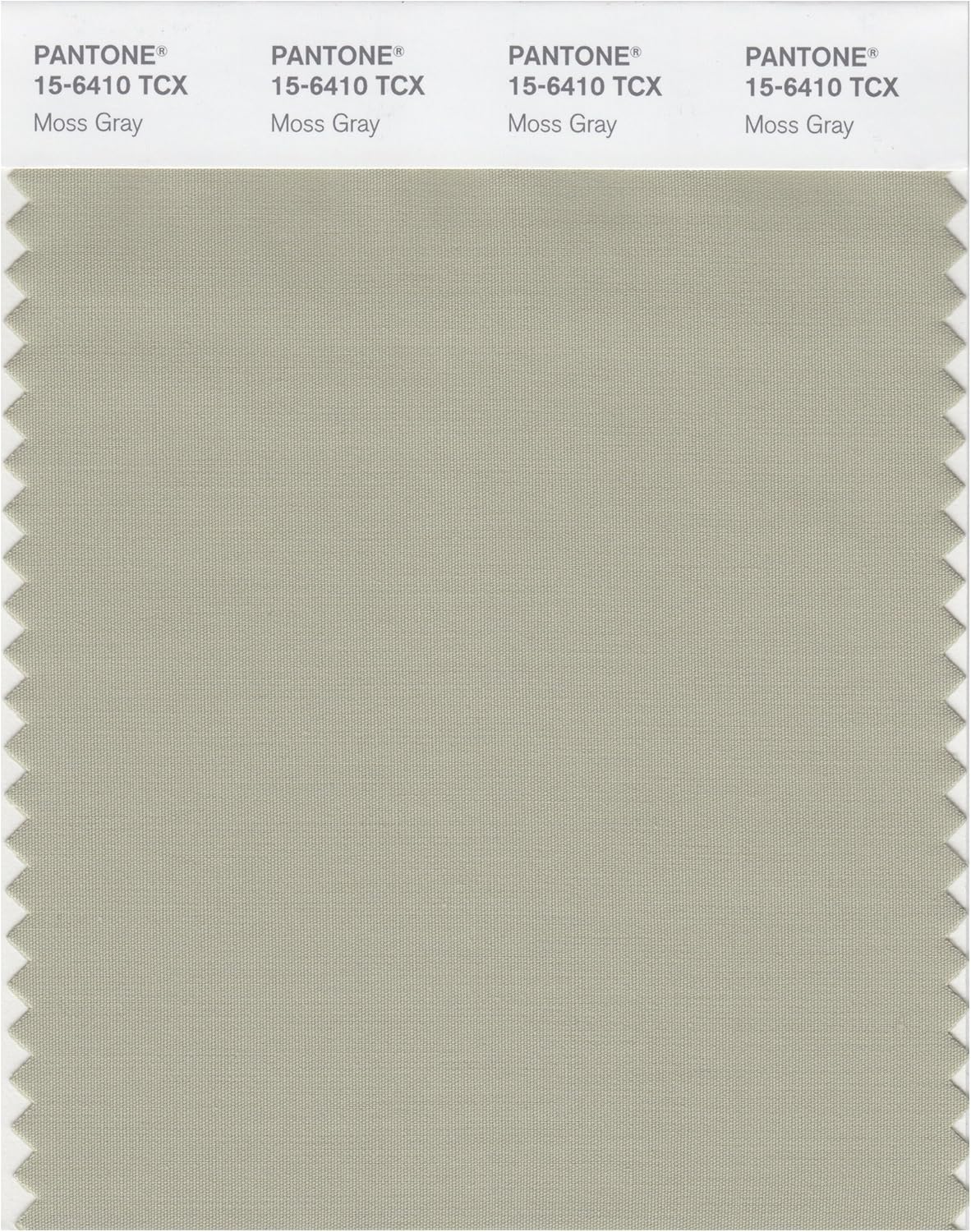 PANTONE Smart 15-6307X Color Swatch Card, Agate Gray