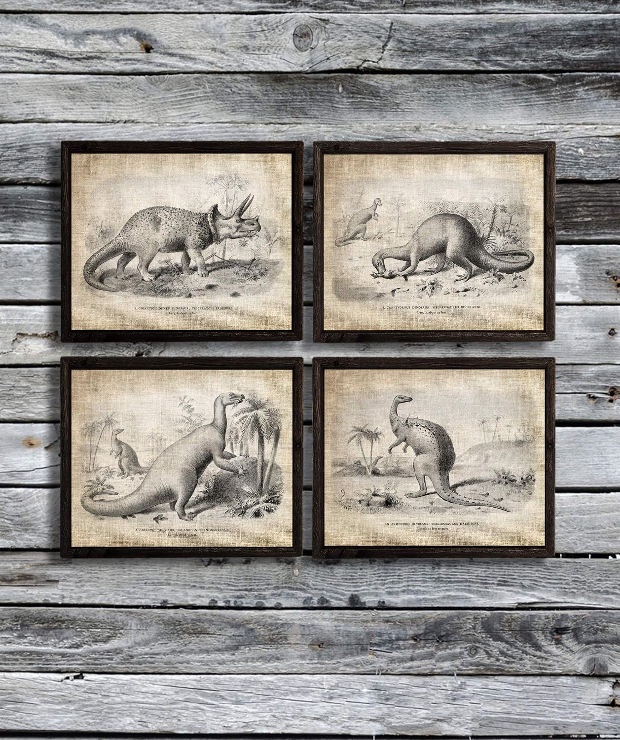 Gnosis Picture Archive Dinosaurs Pictures set of 4 Unframed Art Prints Nursery Kids Room Decor