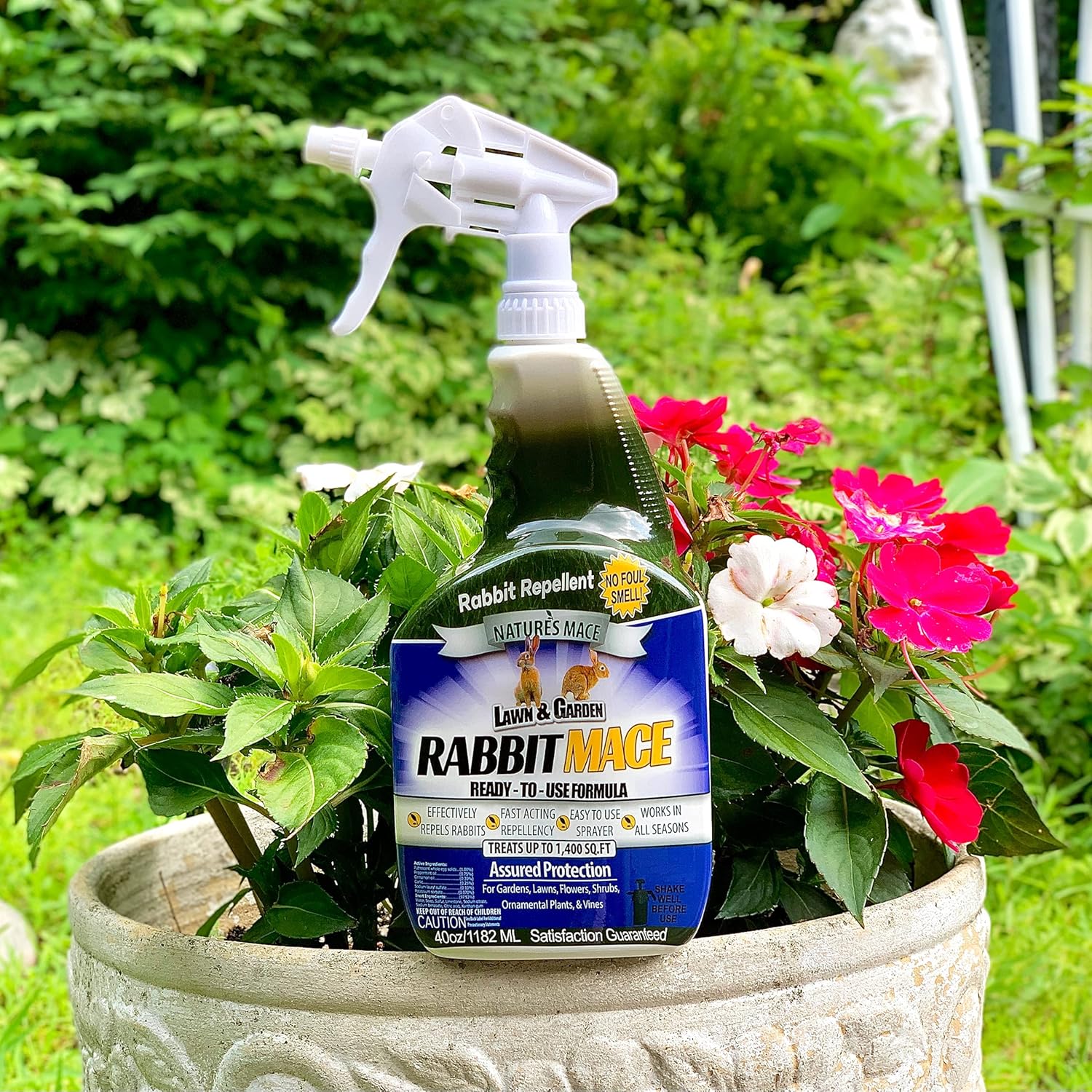Best Rabbit Repellents For Plants Comparison & Reviews