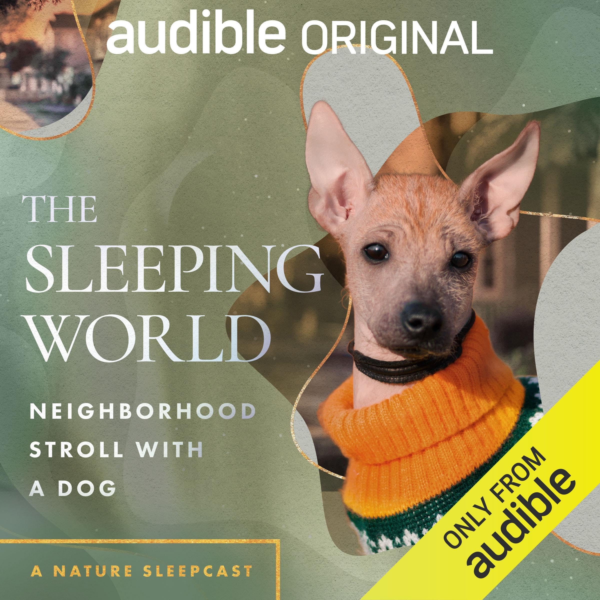 The Sleeping World: Neighborhood Stroll with a Dog