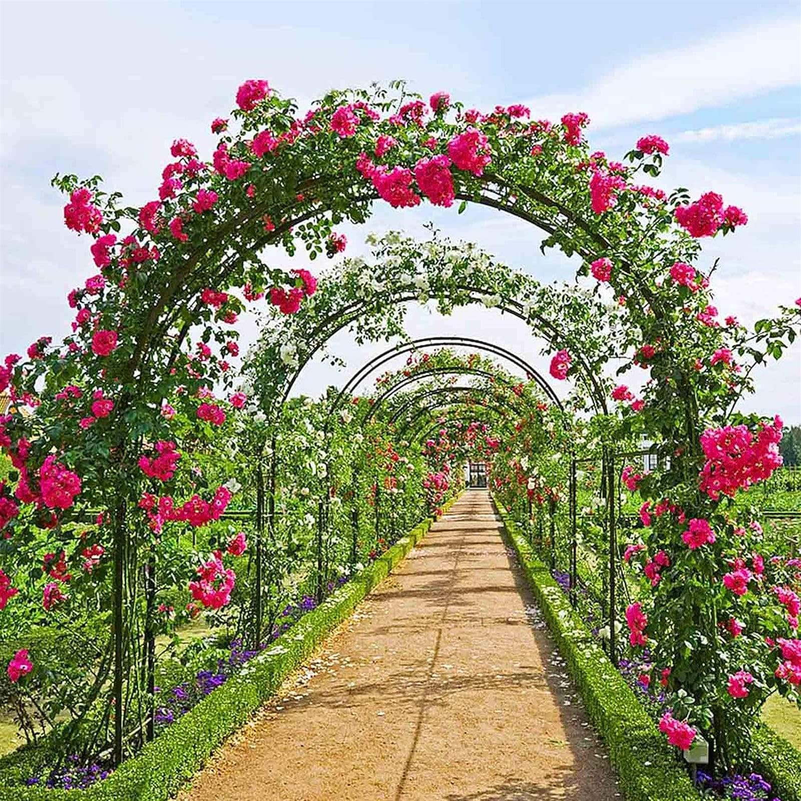 Biały wolnostojący łuk ogrodowy szer. 120 x wys. 220 cm i szer. 240 x wys. 220 cm, solidna kratka do roślin pnących, pergola, łuk ślubny, do wejścia i podjazdu, zielona podpórka dla roślin, szer. 200