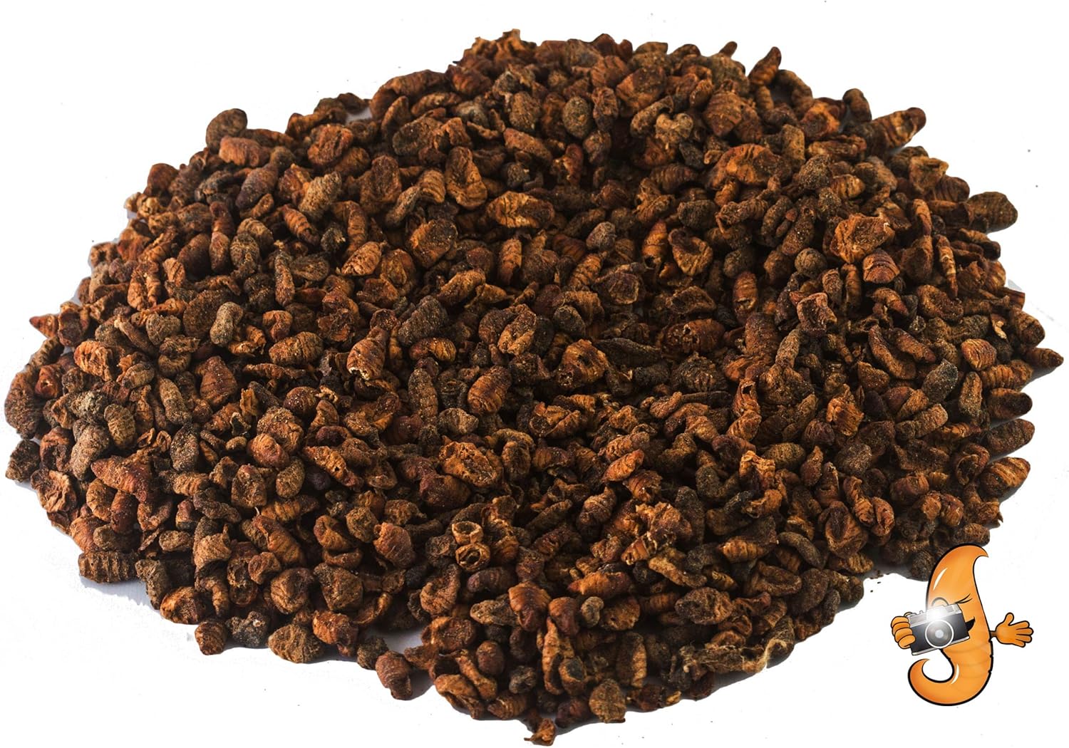 Chubby Dried Silkworm Pupae | 8 lbs | High-Protein Treat for Koi, Fish, Reptiles & Terrapins – Nutrient-Rich Calcium Snack