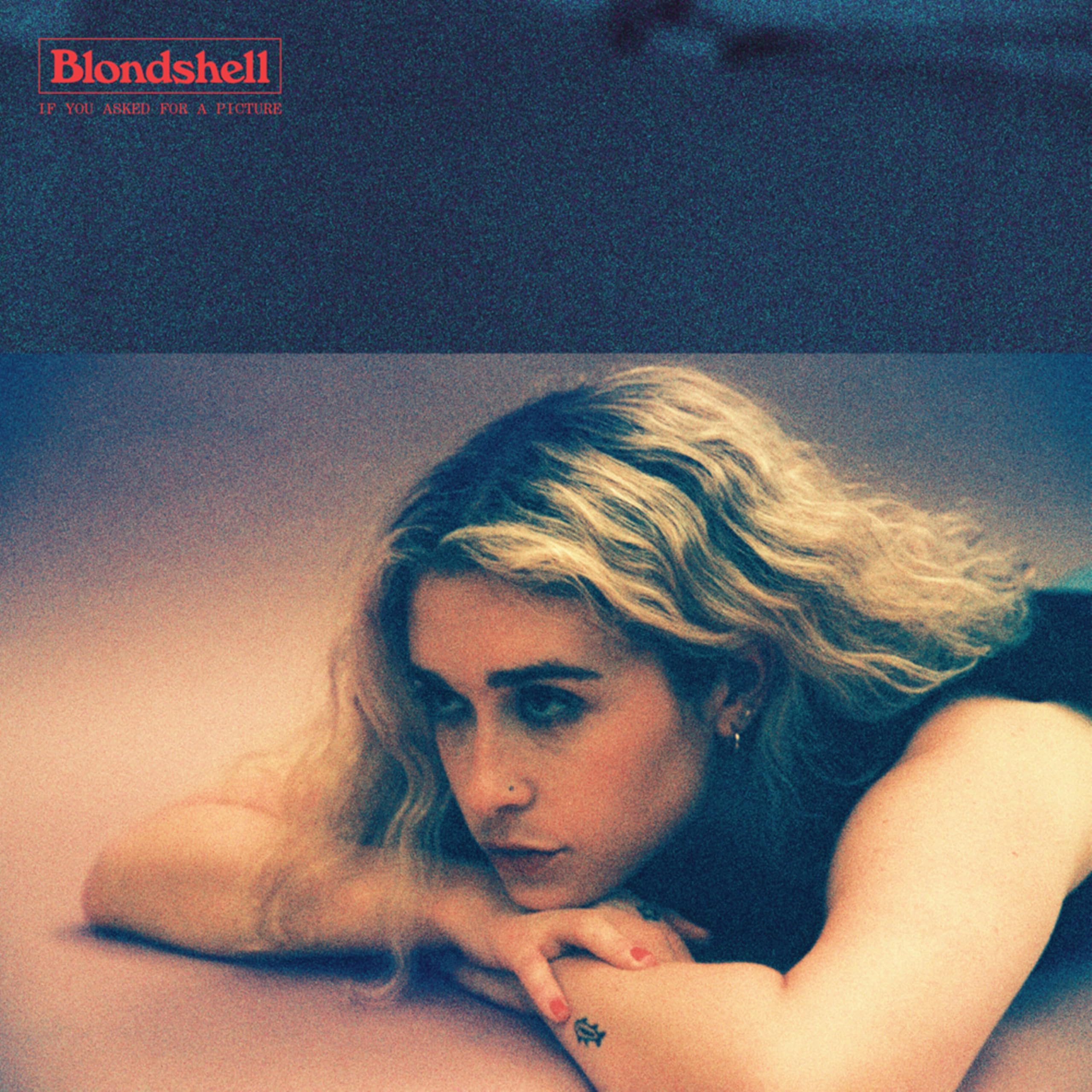 If You Asked For A Picture [VINYL]