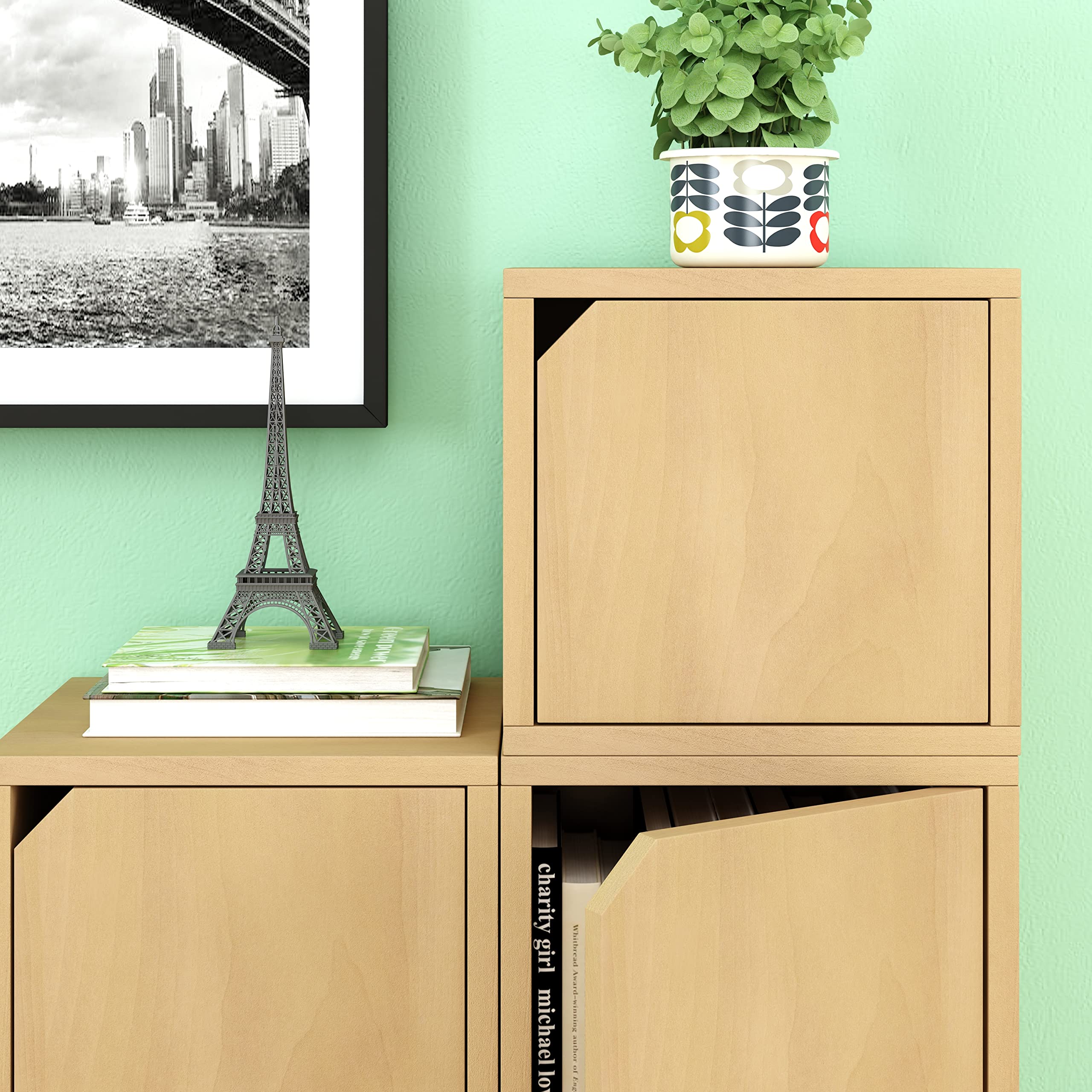 Way Basics Cube Cubby Organizer with Door (Tool-Free Assembly and Uniquely Crafted from Sustainable Non Toxic zBoard Paperboard), Natural