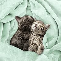 Vista 380 de Utopia Bedding - Manta de vellón de lujo, mullida, antiestática; manta de suave microfibra de 8.8 oz/yd² (300 g/m²) para cama; tamaño individual