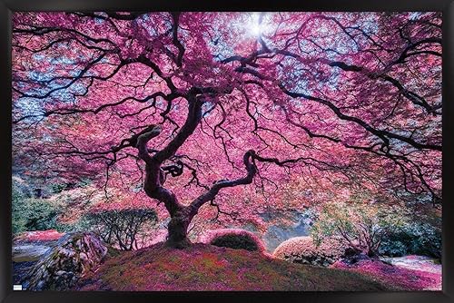 Trends International Póster de pared Pink Tree 2 de Moises Levy