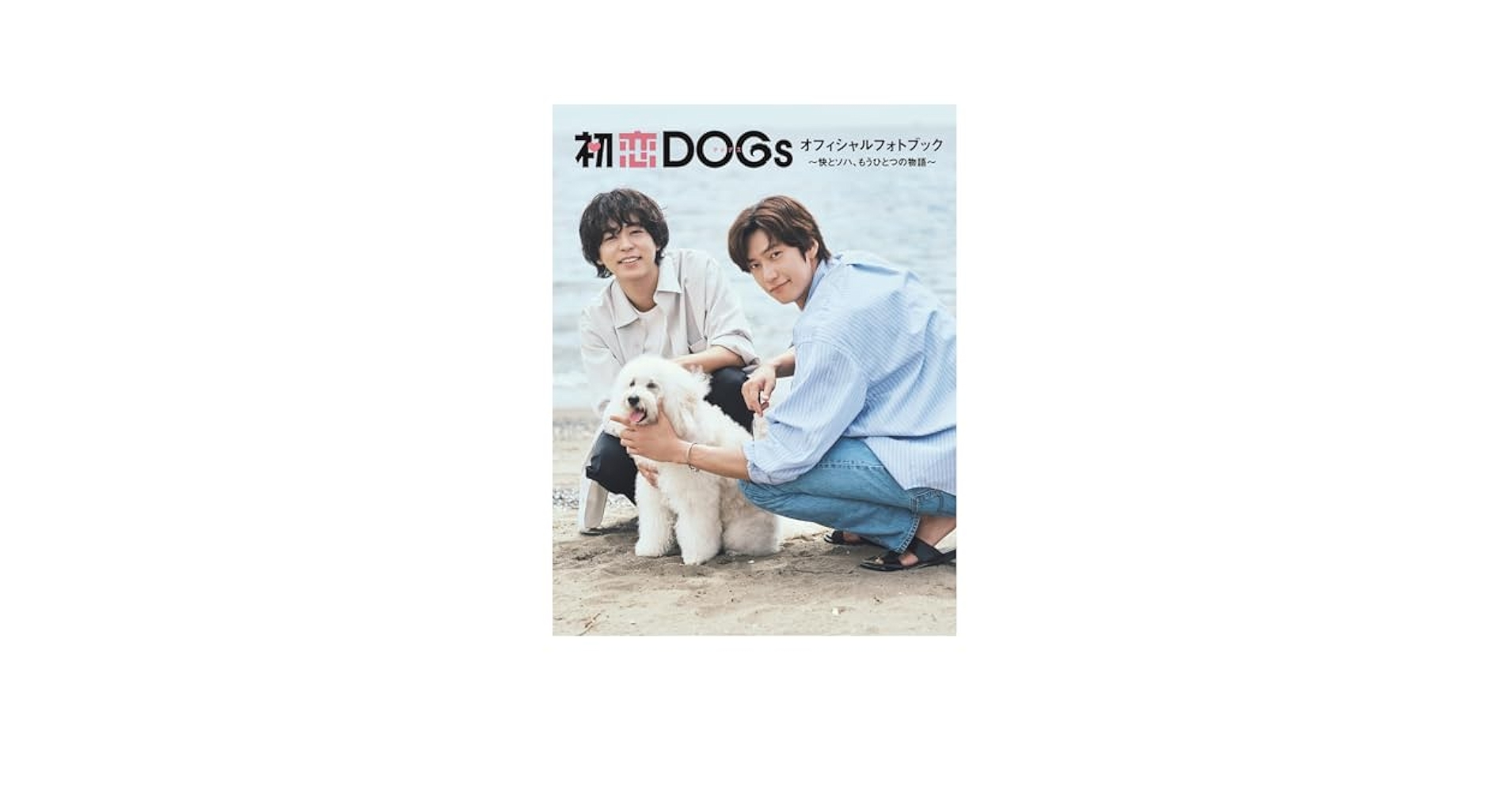【美品】東京DOGS DVDボックス 特典フォトブック付き Amazon.co.jp: 東京DOGS ディレクターズカット版 DVD-BOX : 小栗