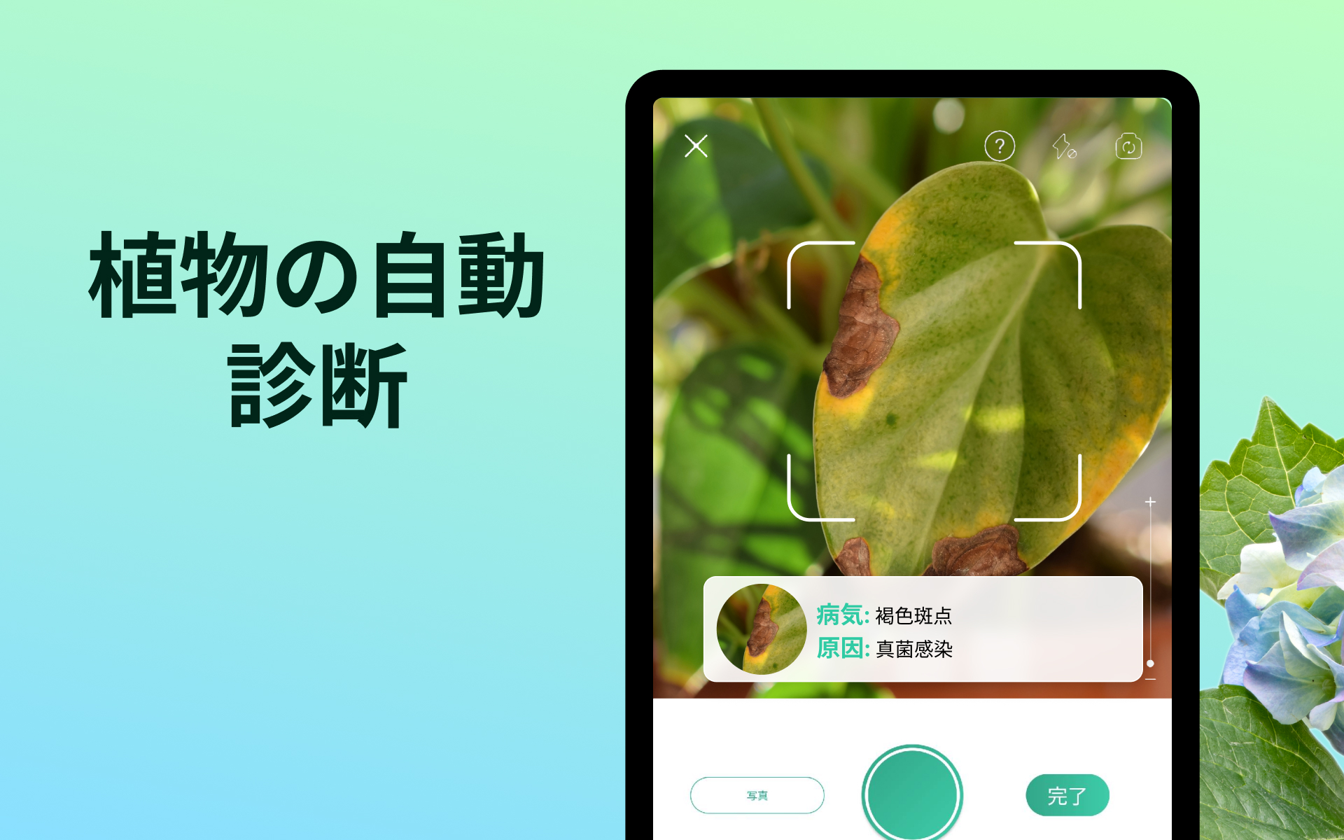 PictureThis：撮ったら、判る-1秒植物図鑑-Amazonアプリストアの