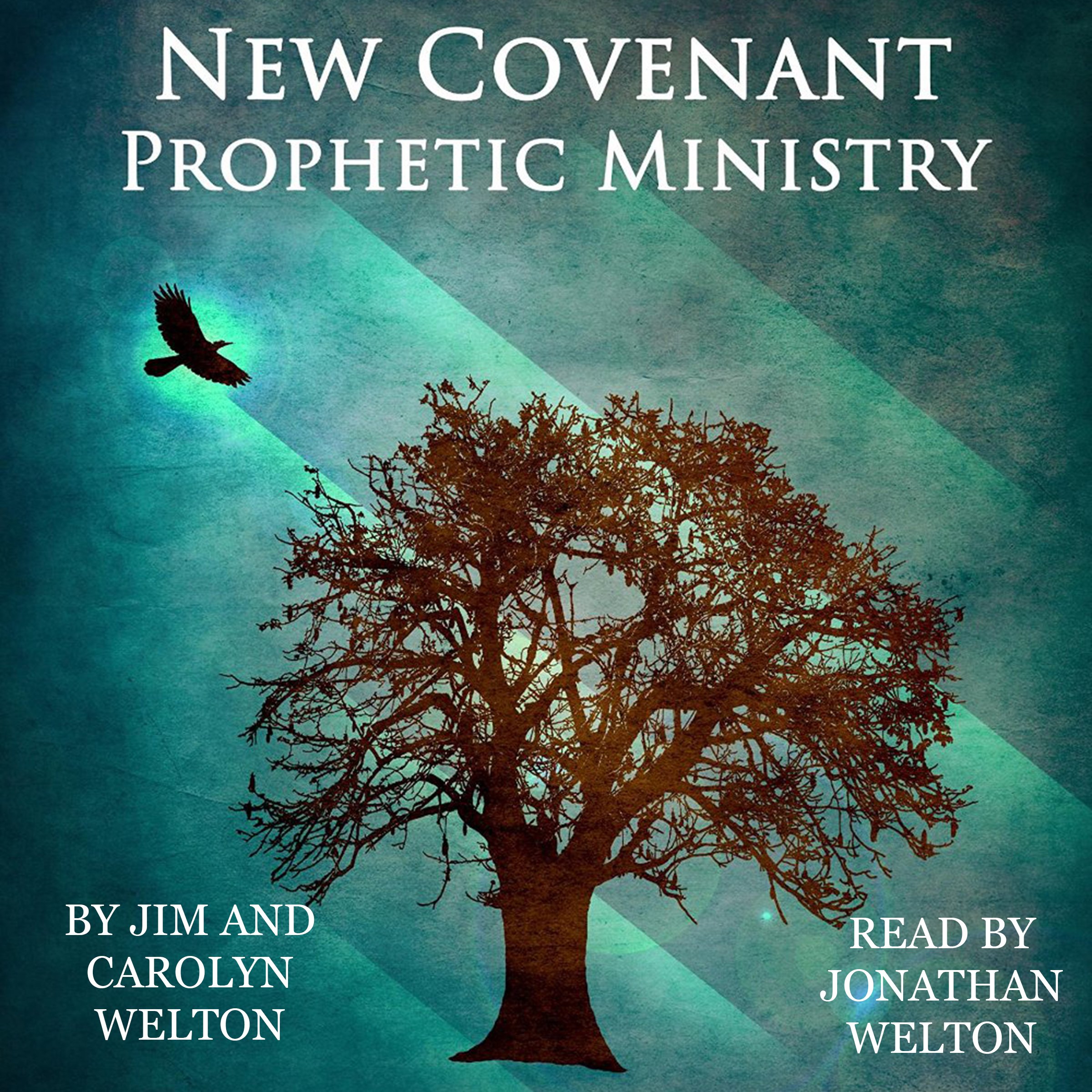 Cover art for New Covenant Prophetic Ministry