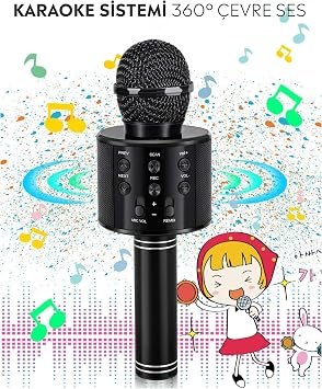 Babilden C-8501 Karaoke Mikrofon Bluetooth USB & TF & Aux (Siyah)