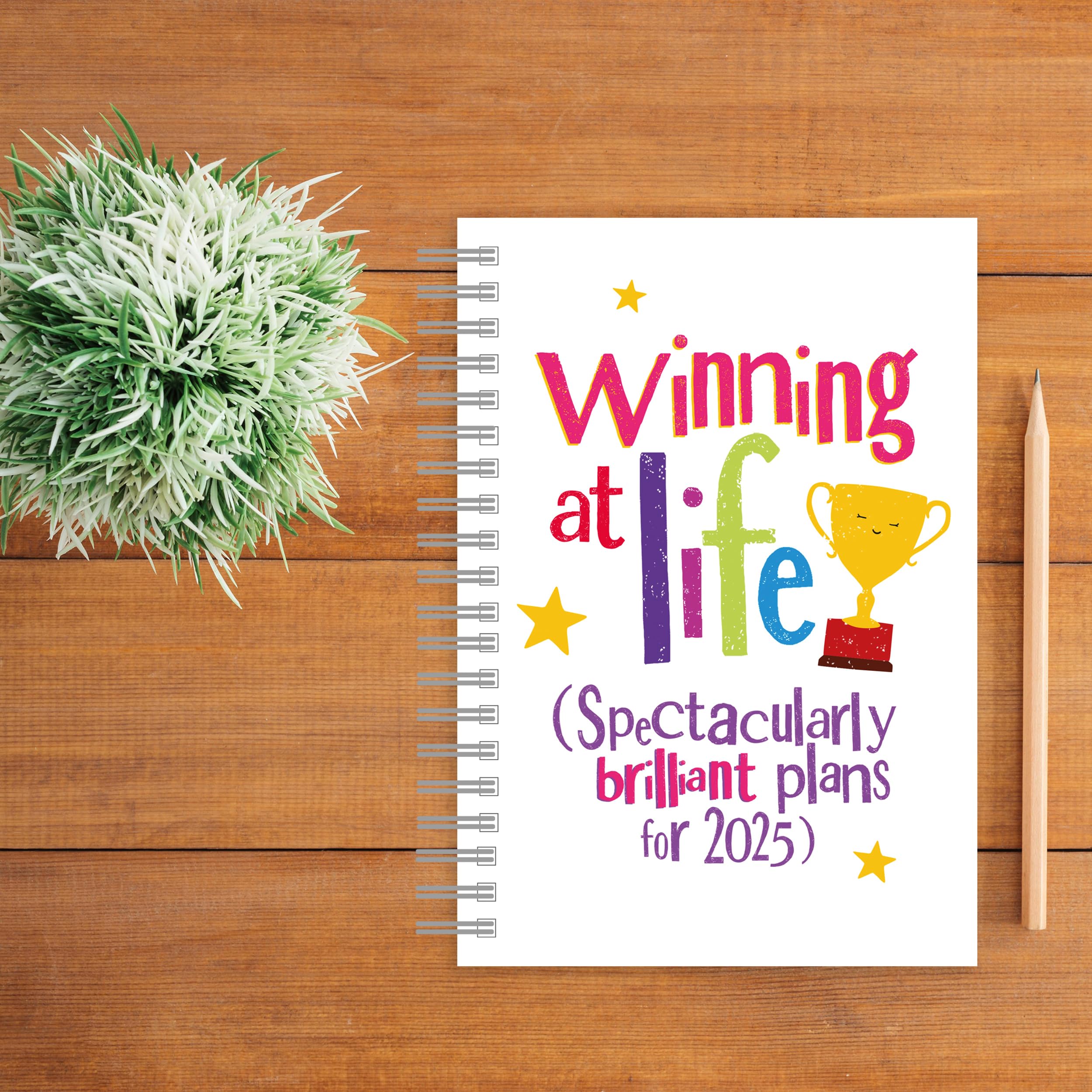 2025 The Bright Side A5 Wiro Diary, Multicolour - Image 3