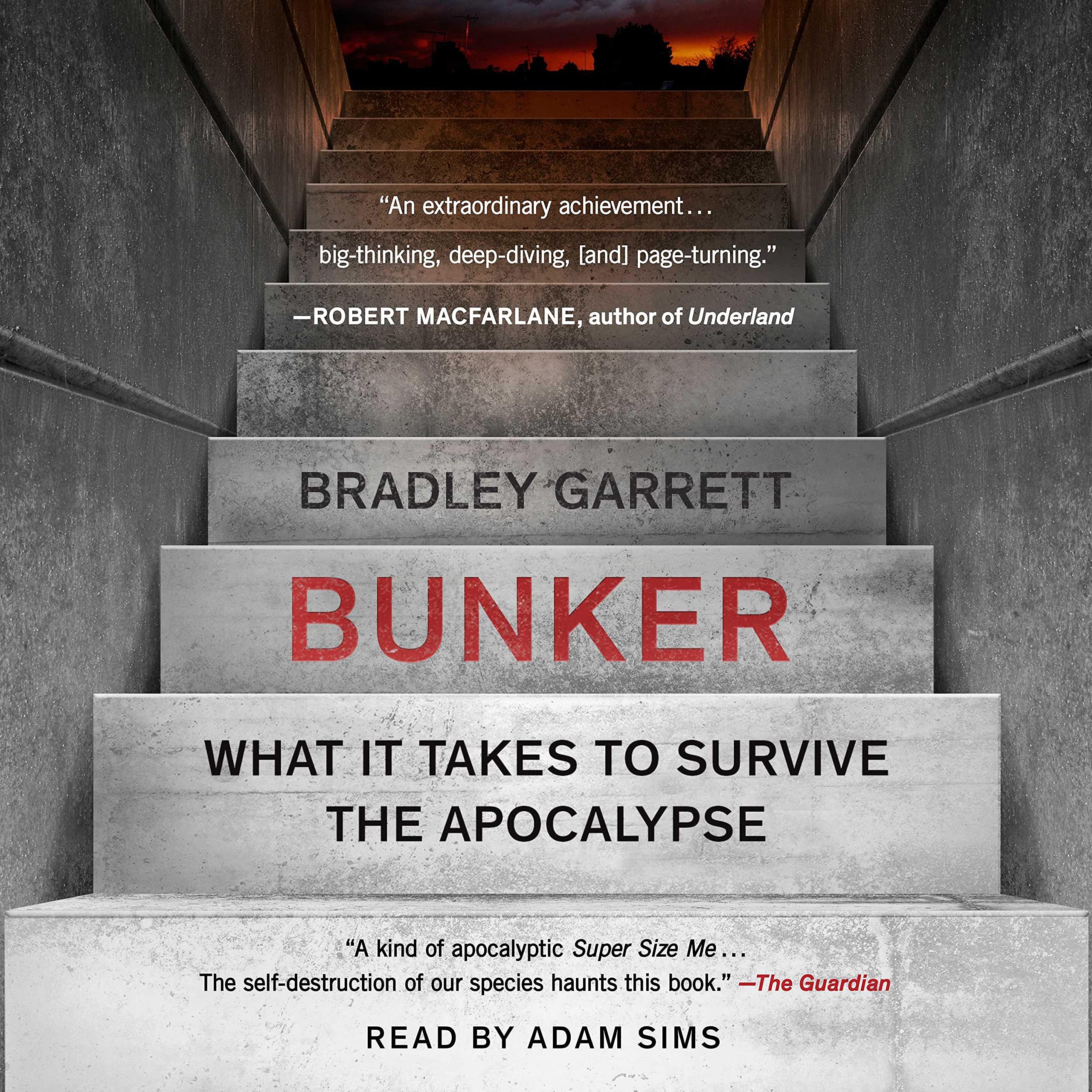 Cover art for Bunker