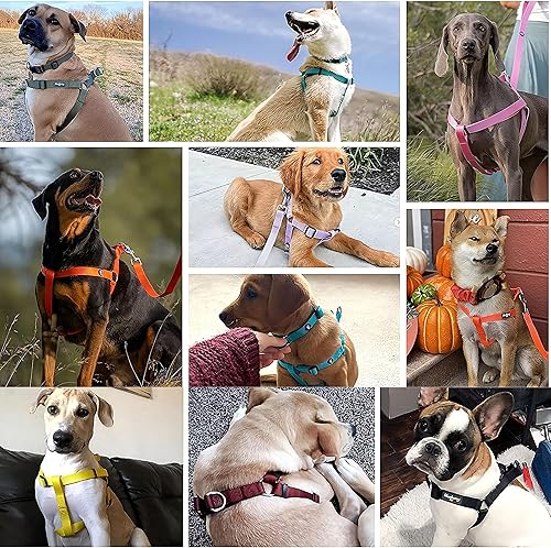 Miniatura 6 de JUSTGIFT arnés para perro sin tirones, arnés de cuerda para perro ultra duradero de nailon (2 en 1), antideslizante y ajustable, mango de fácil