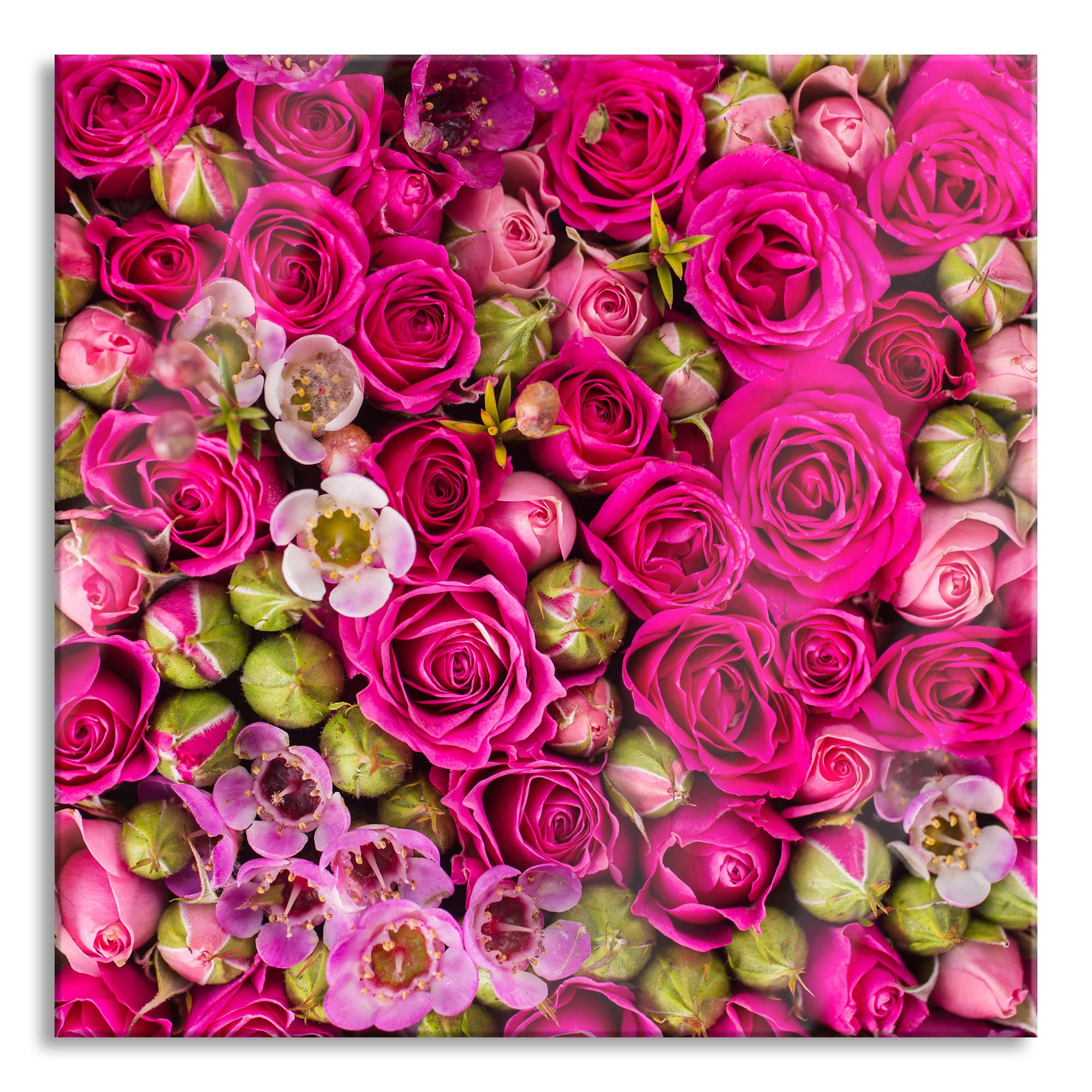 Pixxprint Quadro da parete su vetro, motivo: fiori, 40 x 40 cm, con sospensione e distanziatore