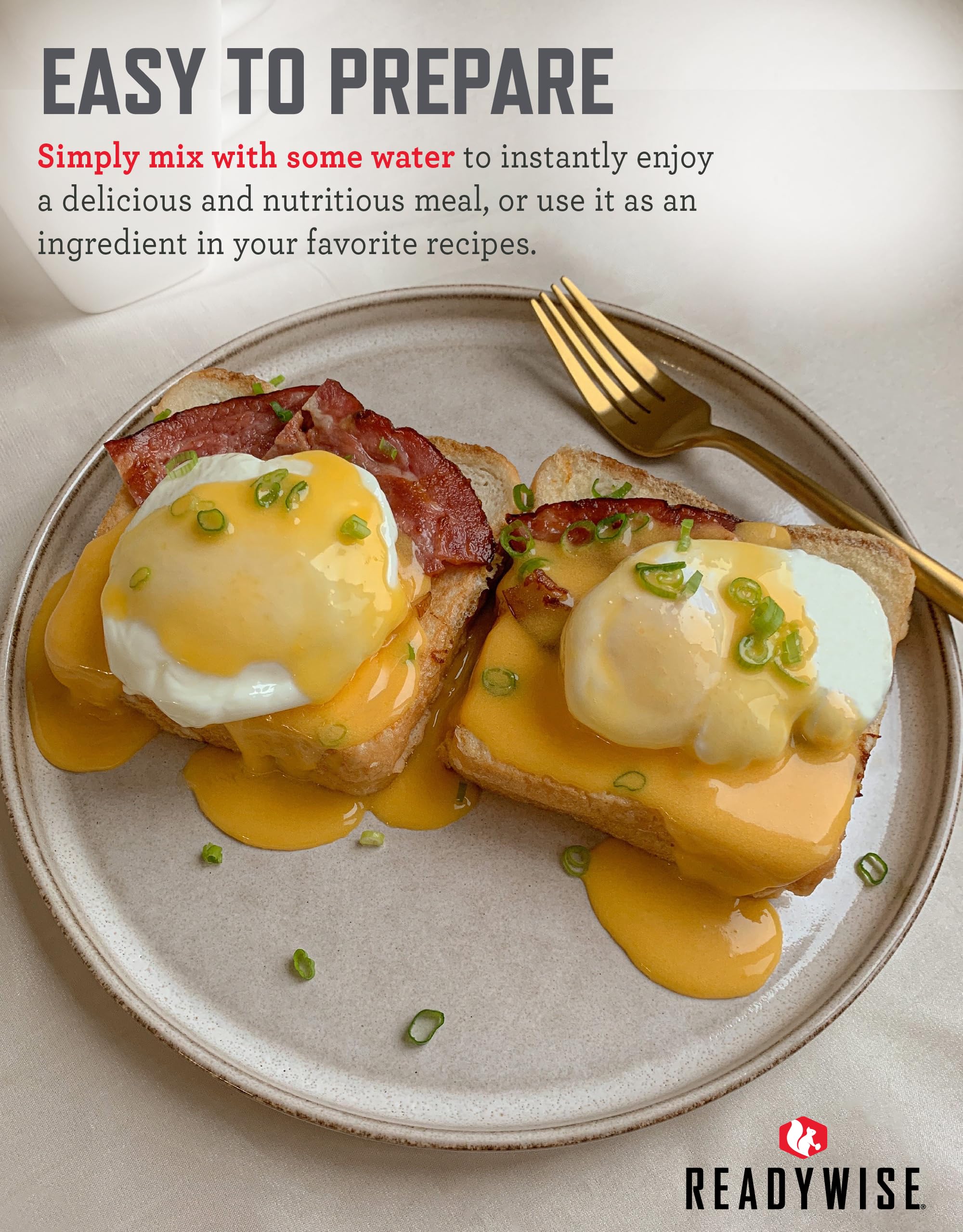 READYWISE Powdered Eggs Bucket, 144 Servings