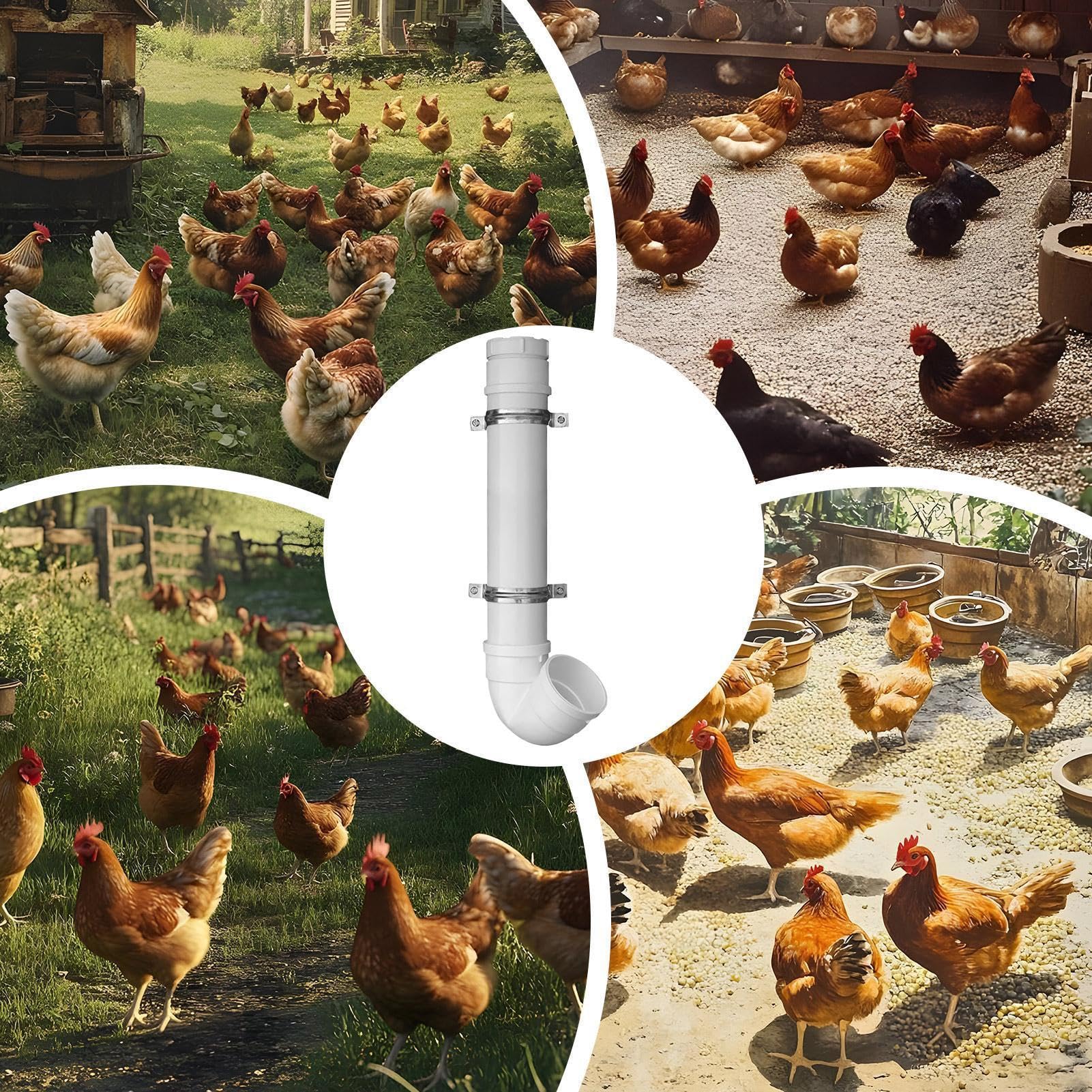 Mangiatoia automatica per polli, contenitore per tubi senza spreco