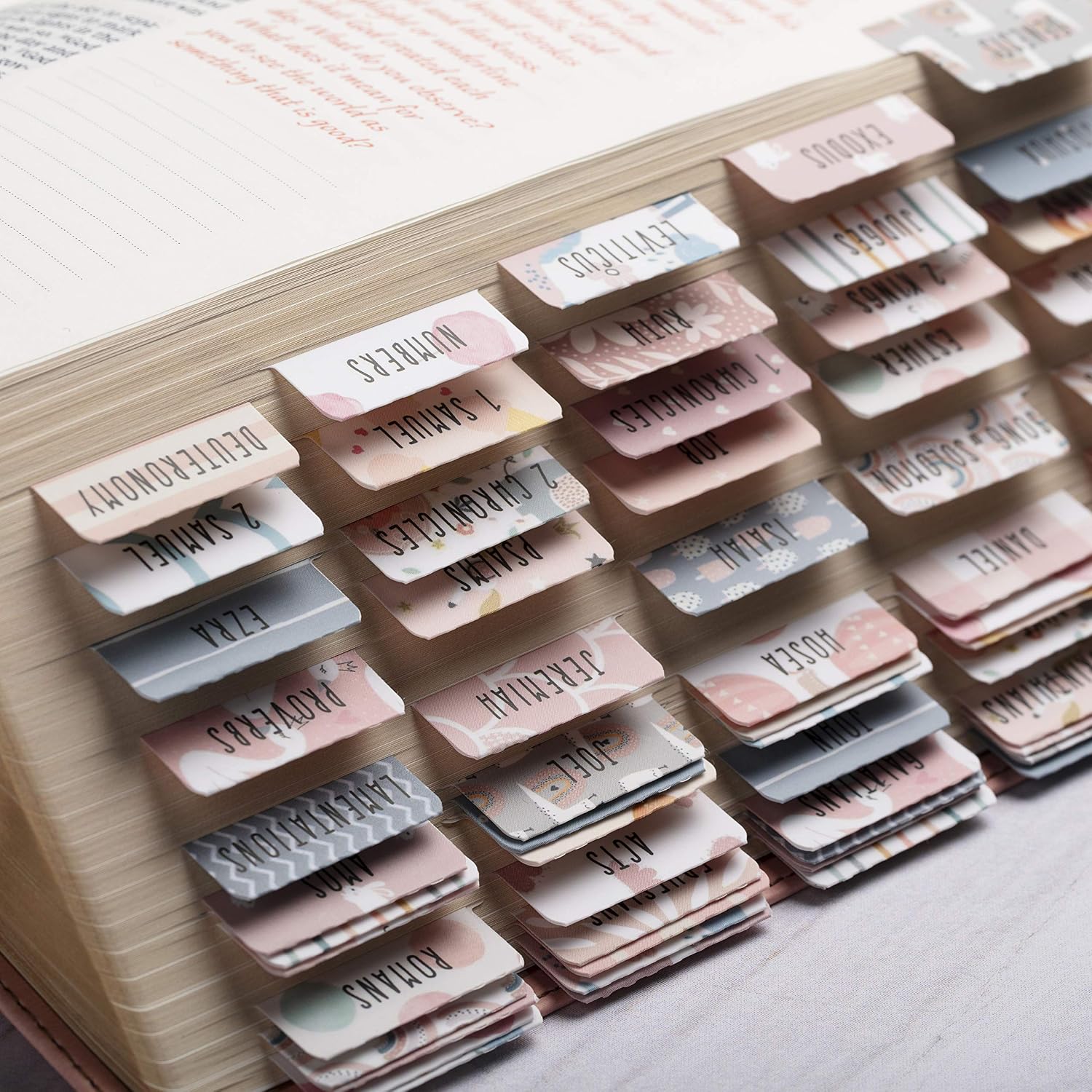 DiverseBee Laminated Bible Tabs for Women and Girls (Sweet) image 4