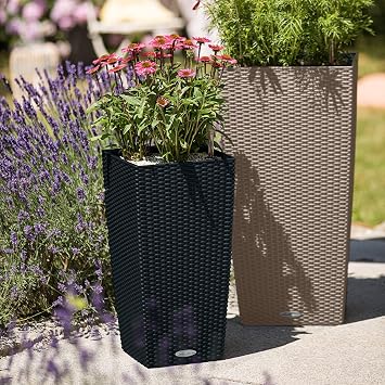 Lechuza CUBICO Cottage 40 Sand Brown, Self-Watering Tall Planter, H29.5 L15.7 W15.7 in