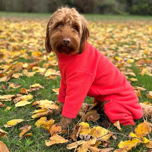 Forro polar cálido para perro, disponible en cinco tamaños y cinco colores (coral, mediano (cuatro patas))