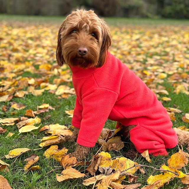Forro polar cálido para perro, disponible en cinco tamaños y cinco colores (coral, mediano (cuatro patas))